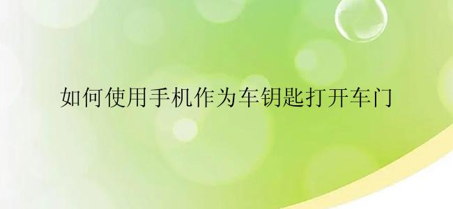 如何使用手机作为车钥匙打开车门