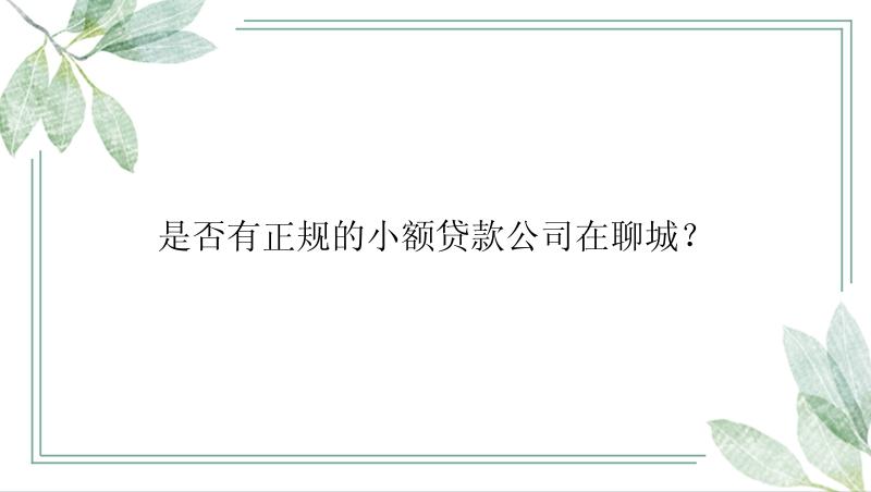 是否有正规的小额贷款公司在聊城？