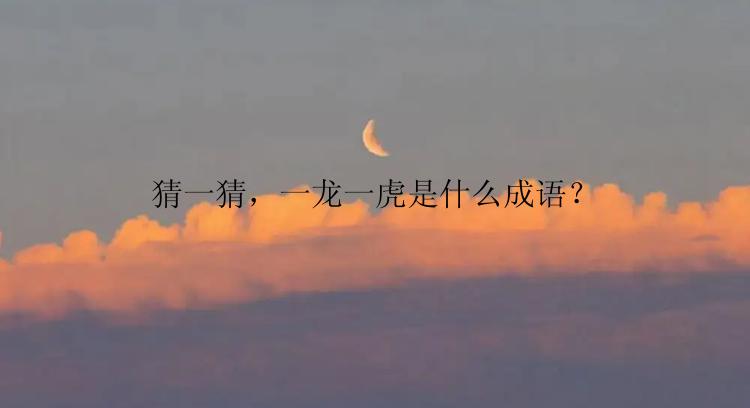 猜一猜，一龙一虎是什么成语？
