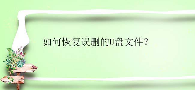 如何恢复误删的U盘文件？