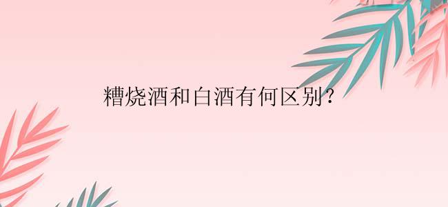 糟烧酒和白酒有何区别？