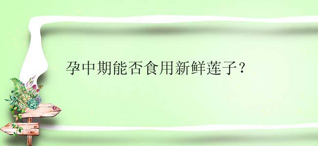 孕中期能否食用新鲜莲子？