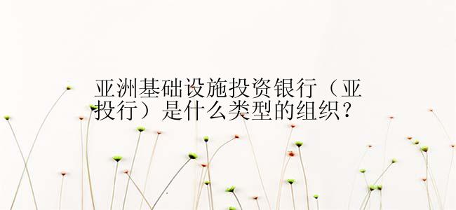 亚洲基础设施投资银行（亚投行）是什么类型的组织？