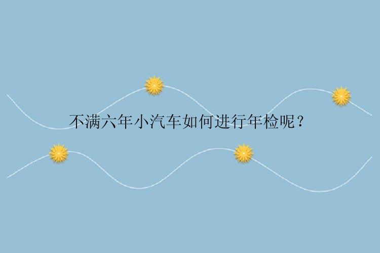 不满六年小汽车如何进行年检呢？