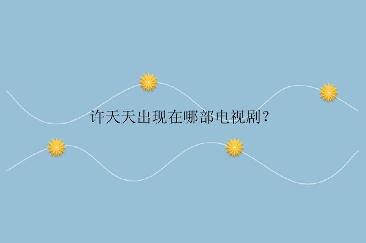 许天天出现在哪部电视剧？
