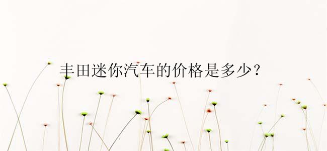 丰田迷你汽车的价格是多少？