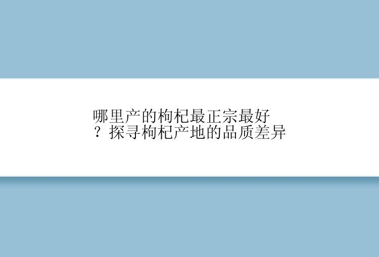 哪里产的枸杞最正宗最好？探寻枸杞产地的品质差异