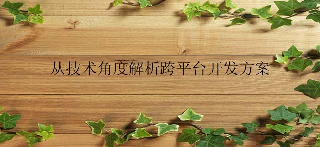从技术角度解析跨平台开发方案