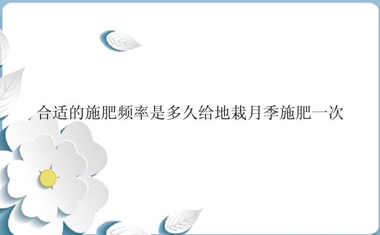 合适的施肥频率是多久给地栽月季施肥一次