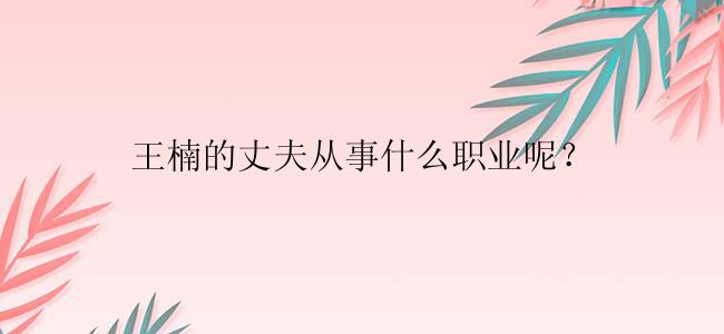 王楠的丈夫从事什么职业呢？