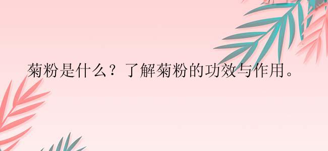 菊粉是什么？了解菊粉的功效与作用。