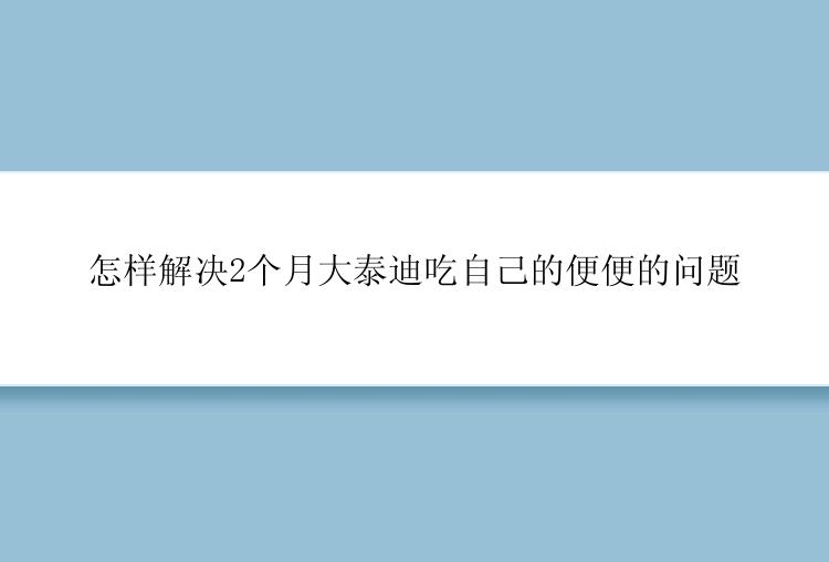 怎样解决2个月大泰迪吃自己的便便的问题