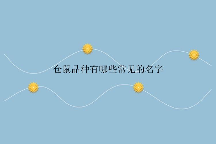 仓鼠品种有哪些常见的名字