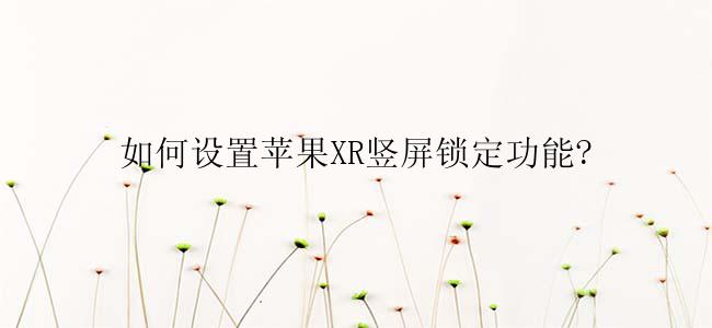 如何设置苹果XR竖屏锁定功能?