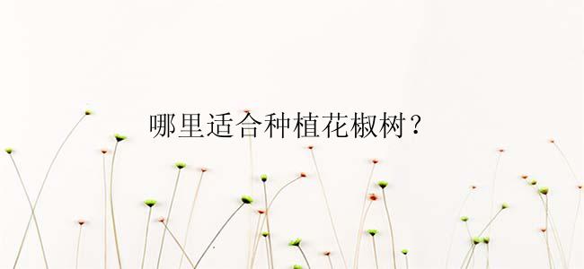 哪里适合种植花椒树？