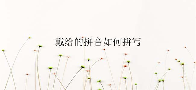 戴给的拼音如何拼写