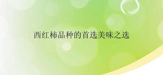 西红柿品种的首选美味之选