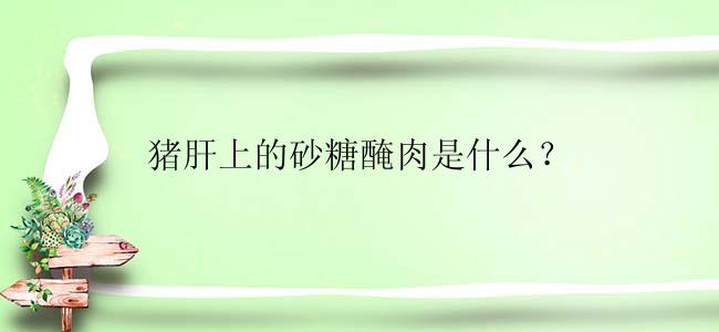 猪肝上的砂糖醃肉是什么？