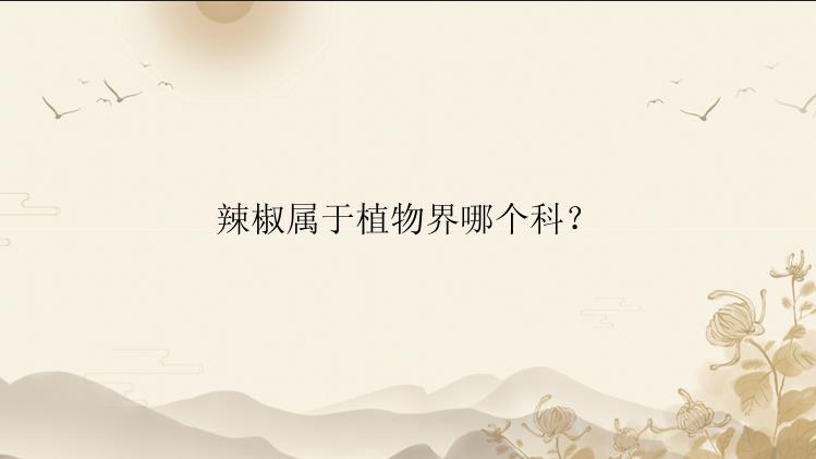 辣椒属于植物界哪个科？