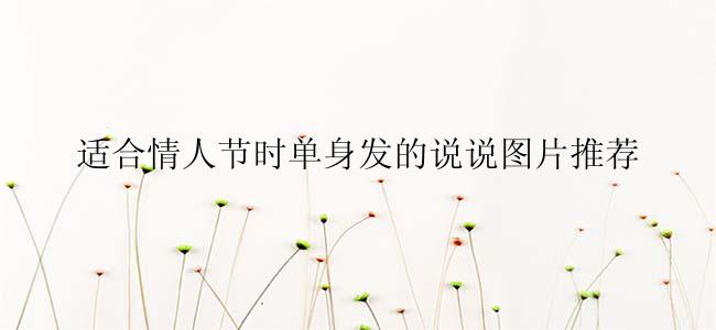 适合情人节时单身发的说说图片推荐