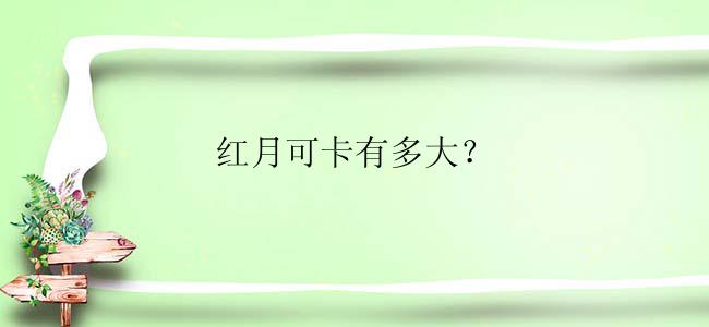 红月可卡有多大？
