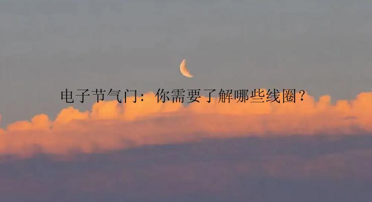 电子节气门: 你需要了解哪些线圈？