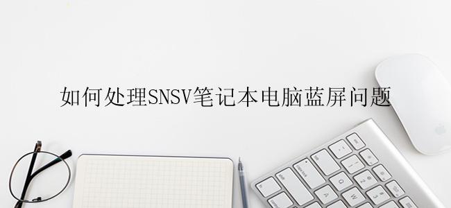 如何处理SNSV笔记本电脑蓝屏问题