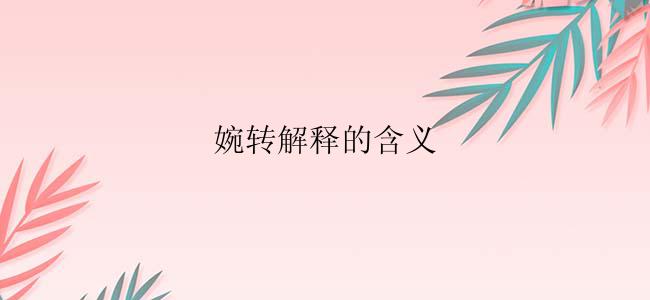 婉转解释的含义