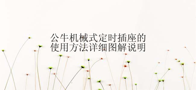 公牛机械式定时插座的使用方法详细图解说明