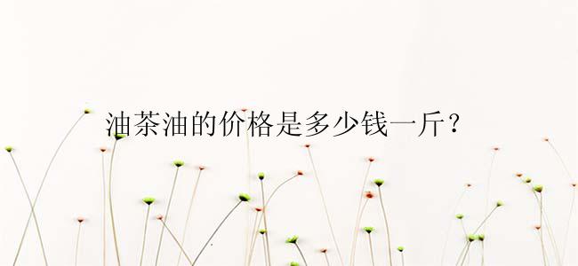 油茶油的价格是多少钱一斤？