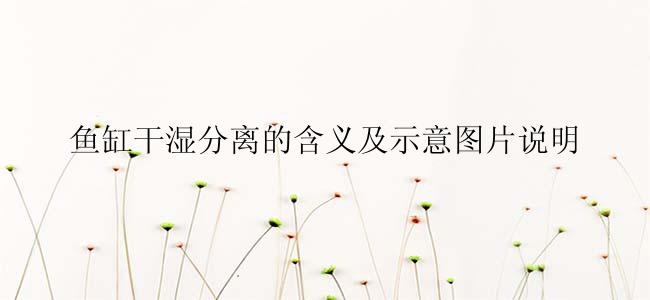 鱼缸干湿分离的含义及示意图片说明