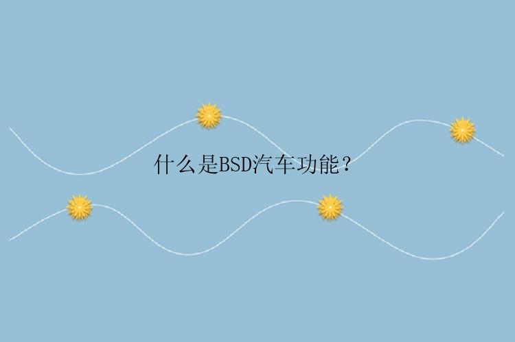 什么是BSD汽车功能？