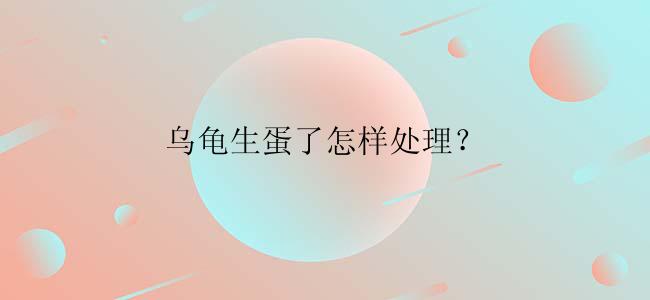 乌龟生蛋了怎样处理？