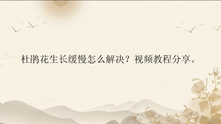 杜鹃花生长缓慢怎么解决？视频教程分享。