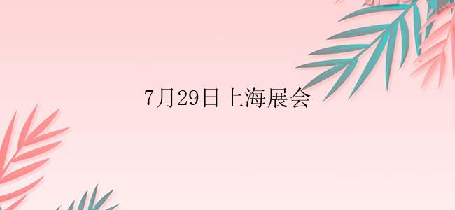 7月29日上海展会