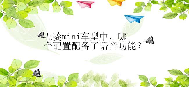 五菱mini车型中，哪个配置配备了语音功能？