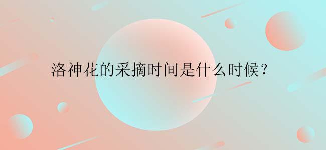 洛神花的采摘时间是什么时候？