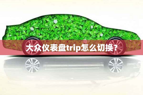 大众仪表盘trip怎么切换？