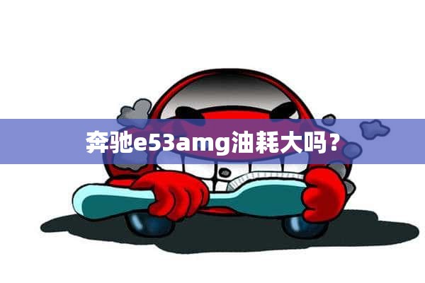 奔驰e53amg油耗大吗？