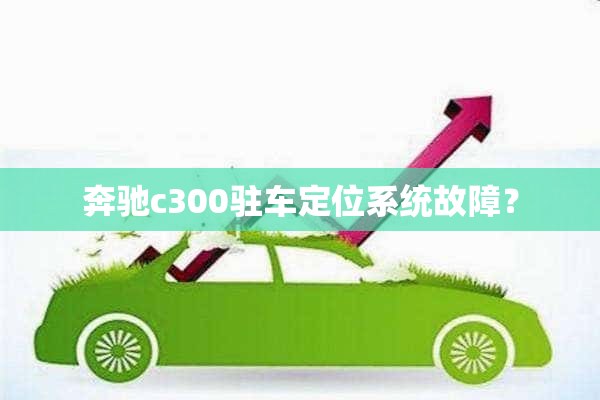 奔驰c300驻车定位系统故障？