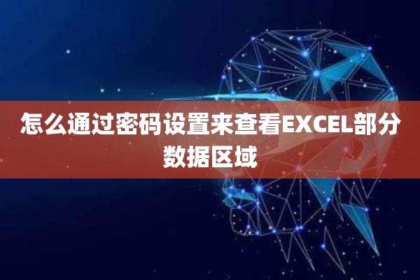 怎么通过密码设置来查看EXCEL部分数据区域