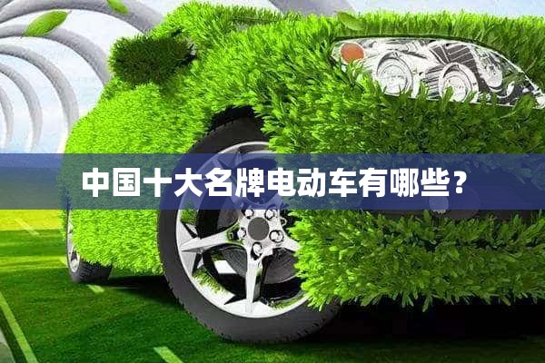 中国十大名牌电动车有哪些？