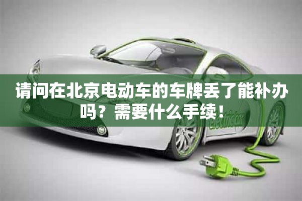 请问在北京电动车的车牌丢了能补办吗？需要什么手续！