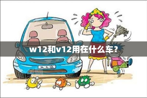 w12和v12用在什么车？