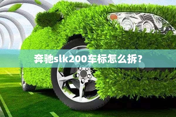 奔驰slk200车标怎么拆？