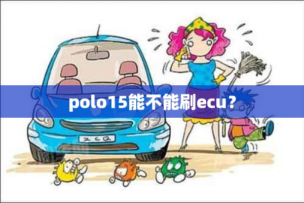 polo15能不能刷ecu？