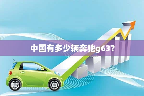 中国有多少辆奔驰g63？