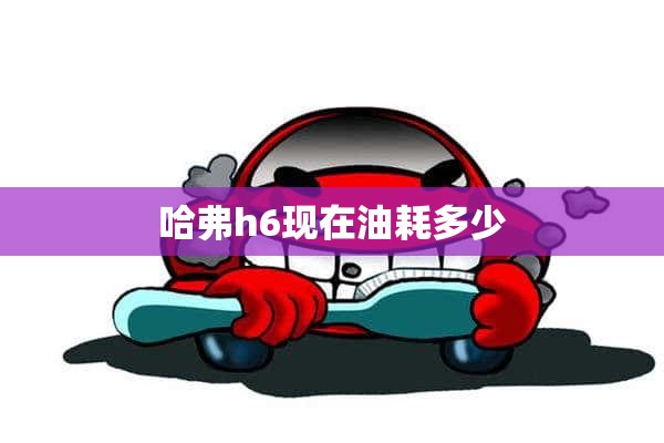 哈弗h6现在油耗多少