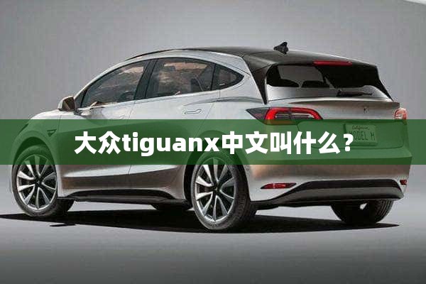 大众tiguanx中文叫什么？