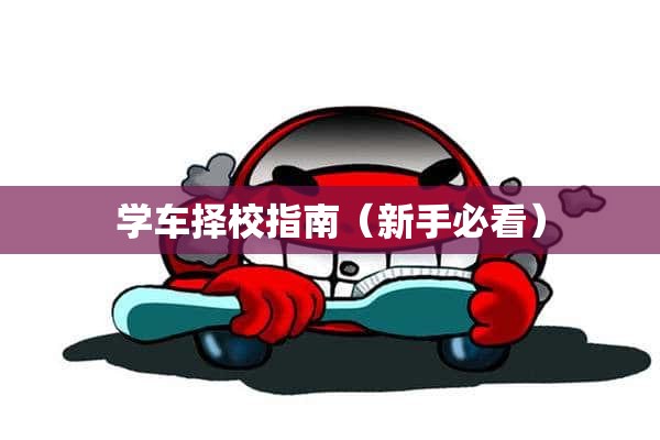 学车择校指南（新手必看）